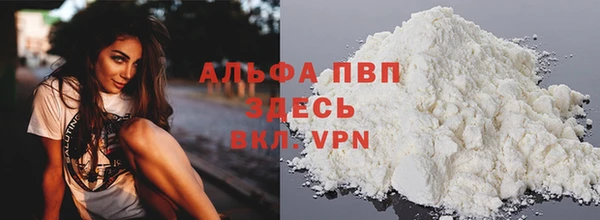 сатива Беломорск