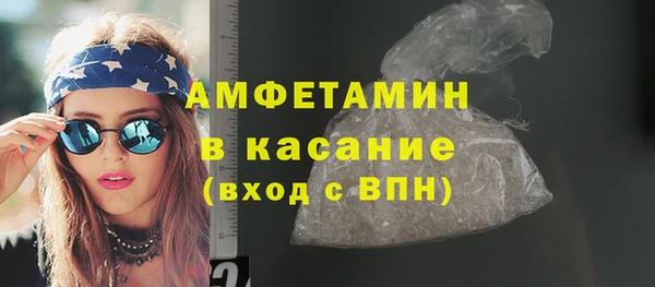 сатива Беломорск