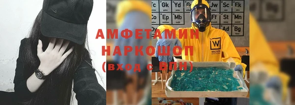 сатива Беломорск