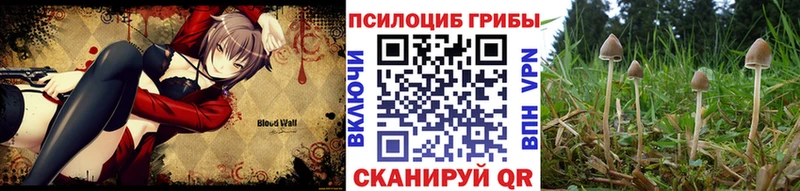 MEGA   Дербент  Галлюциногенные грибы мухоморы 